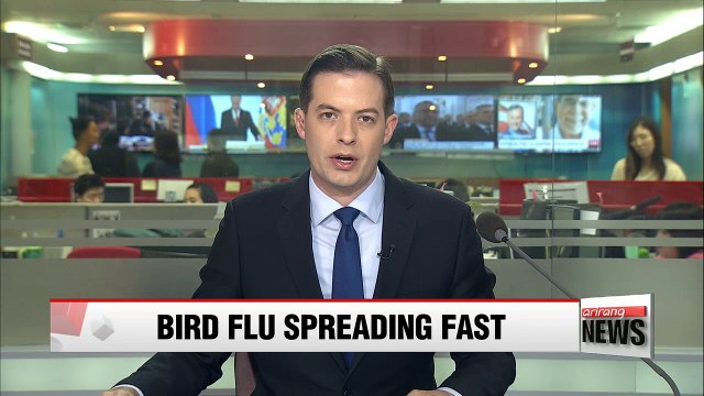 Korea on high alert as highly pathogenic strain of AI virus spreads nationwide rapidly