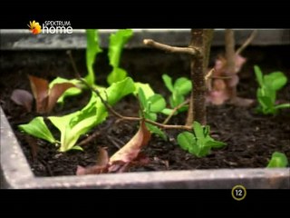 A Kertész Kertje 2012 12 16 2