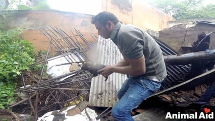 Collapsed Building Doesn&apos;t Stop Rescuers From Reuniting Tiny Puppy With Mom