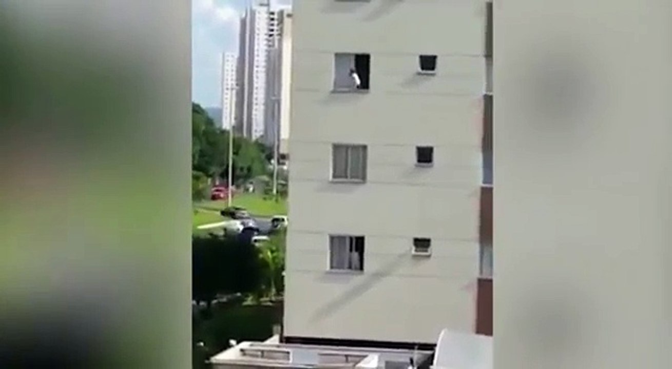 Criança brasileira brinca FORA da JANELA e sobrevive!