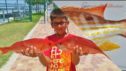 New Orleans Fishing Charters