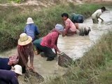 Cambodian Traditional Fishing