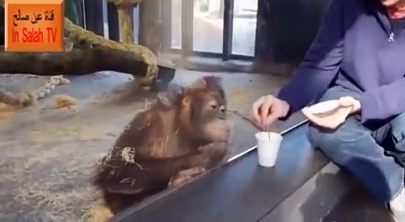 BEST VIDEOS HERE (47)