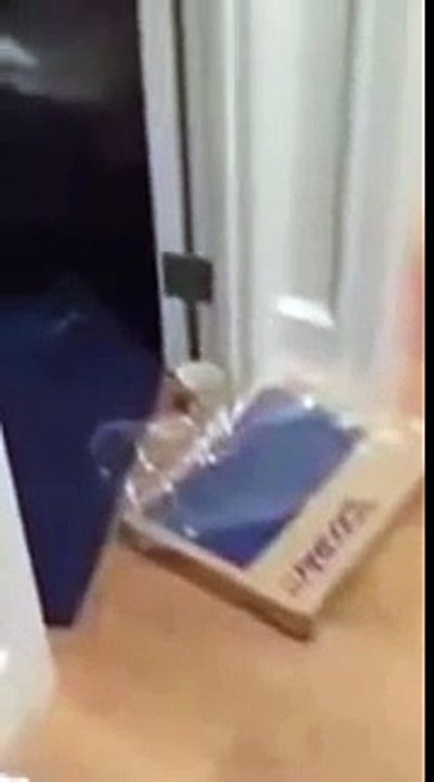 Consegue VER o ERRO deste APRENDIZ de PICHELARIA ao montar a sua primeira SANITA?