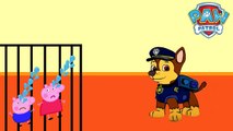 Peppa pig Crying in Prison Paw patrol Parody Finger Family La Patrulla Canina