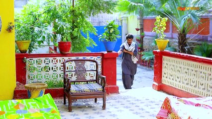 Baji Irshad (Episode 17)