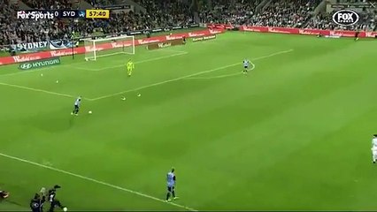 Une mouette assommée pendant un match de foot