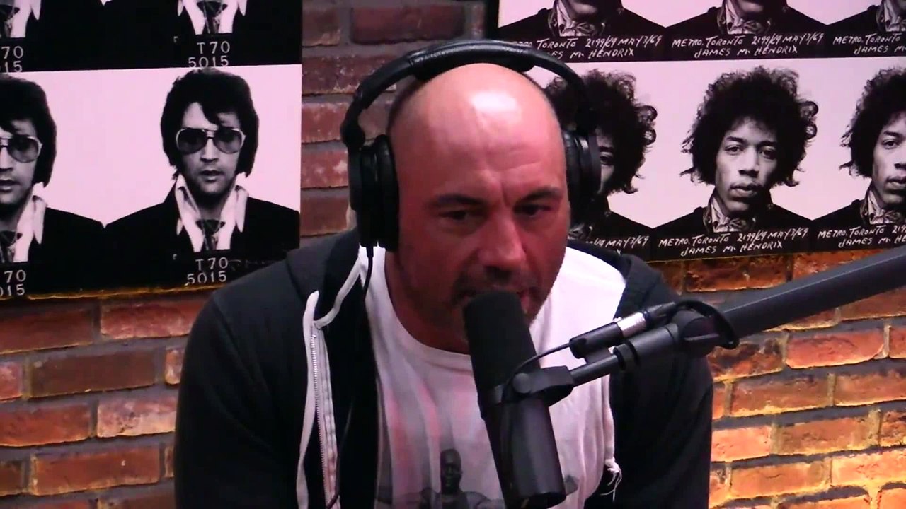 Joe Rogan on Universities Do More Harm than Good, University Costs, Students Loans, Warren Farrell Protest