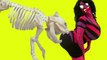 Paw Patrol Skeleton! - Spiderman vs Venom, Joker, Superhero Superstars, Frozen Elsa, Pink Spidergirl