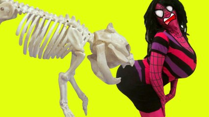 Download Video: Paw Patrol Skeleton! - Spiderman vs Venom, Joker, Superhero Superstars, Frozen Elsa, Pink Spidergirl