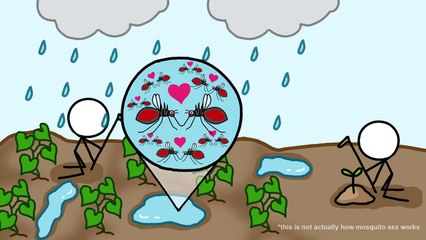 How Humans Made Malaria So Deadly