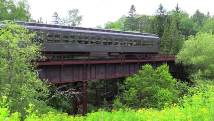 Trains and Bridges