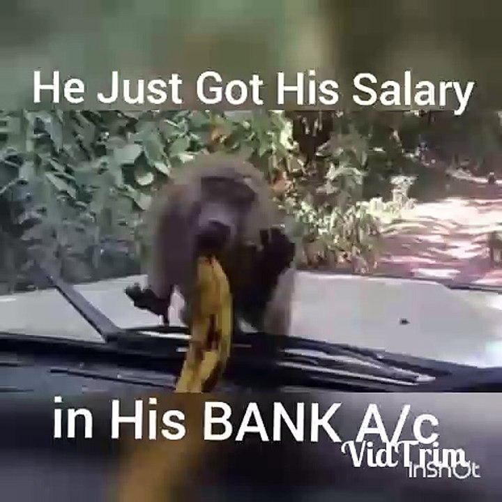 Employees situation in India after salary credit