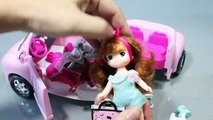 Принцесса Кукла Покупка товаров Автомобиль игрушки Играть Doh Игрушка яиц с сюрпризом