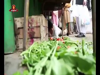 Nawaz Sharif Gave Hilarious Add "Qatari Washing Powder" and Remove 100% Stains of Panama Leaks