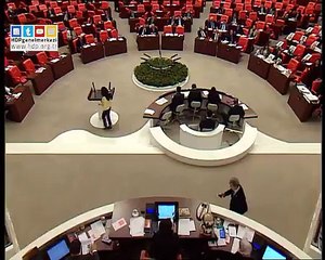 Besime Konca- Bu Hükümet Türkçe konuştuklarımızı da anlamıyor. Ben de, kendi anadilimde konuşmak istedim