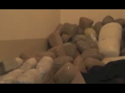 Lecce - Sequestrati una tonnellata di marijuana e un kalashnikov (01.12.16)