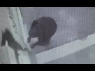 Torino - Bomba davanti Poste, attentatore ripreso dalle telecamere (01.12.16)