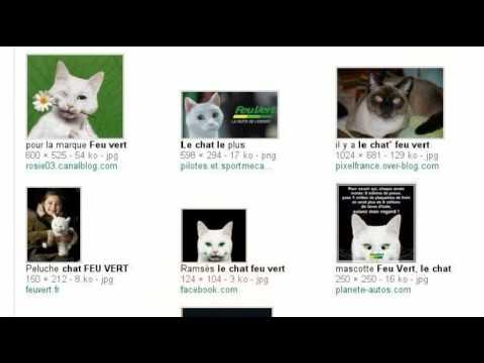 Feu Vert, la patte de l'expert