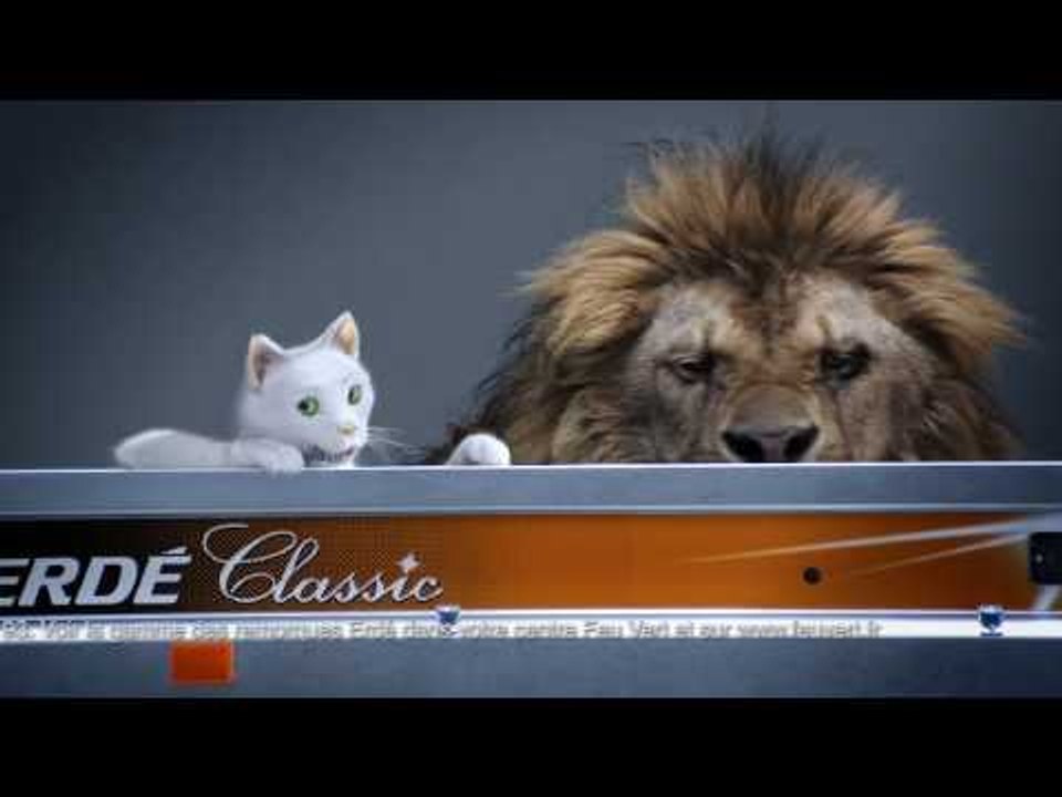 Feu Vert & Erdé - spot TV 22s.mpg