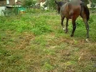 Boiterie 024