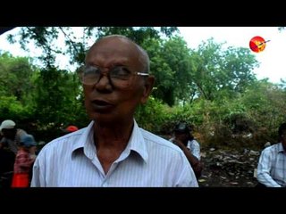 Burmese Traditional Ox and Cart Festival