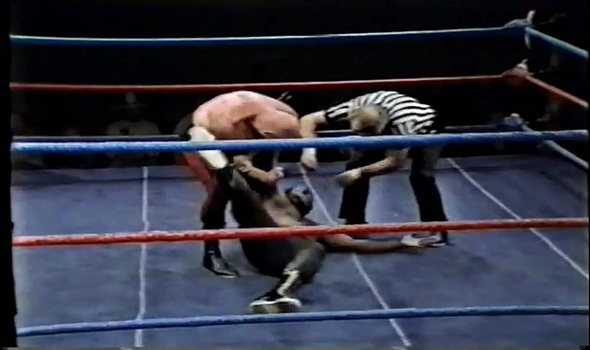 The Crusher and Raschke vs Dean and Panther fall 2