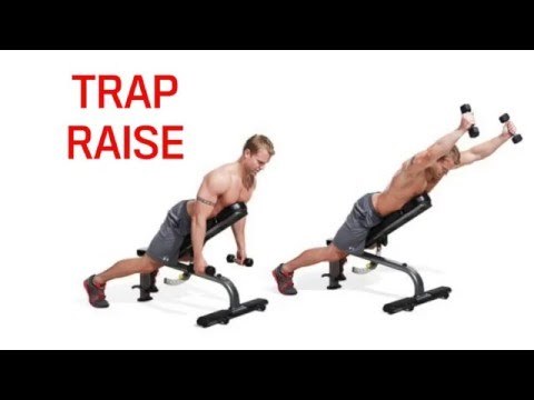 30 Essential Muscle-Building Shoulder Exercises for Men