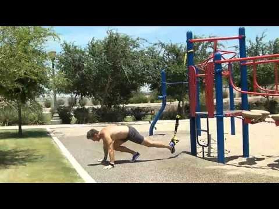Advanced TRX Circuit