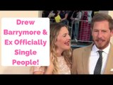 Drew Barrymore & Will Kopelman Officially Single People!