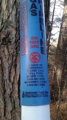 Gas Pipeline Leak  in Franklinville, New York