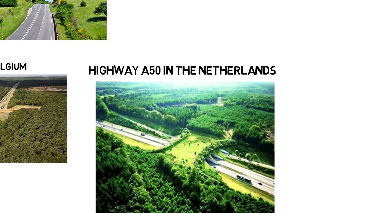Bridge For Animal Crossing