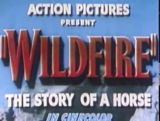 WildFire - The Story of a Horse (Full Movie)