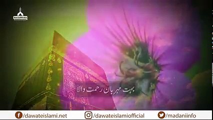 Islamic short clips-Tearfull Tilawat of Quran e paak-Rizvi networks