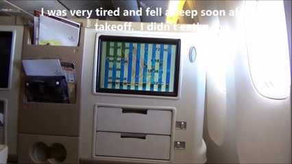 Singapore Airlines SQ 291 Canberra to Wellington Flight and Landing