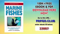 A PocketExpert Guide to Marine Fishes 500 Essential-To-Know Aquarium Species