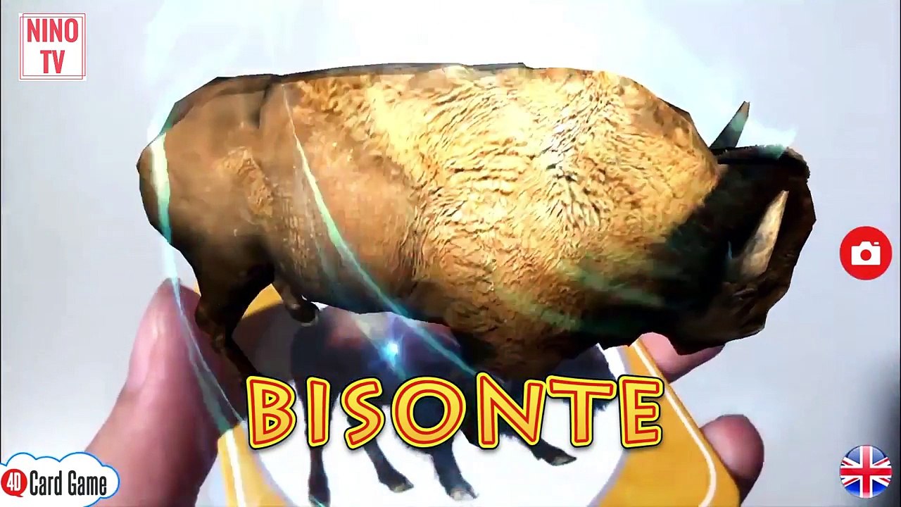 sonidos de animales para bebes de 1 año 3 meses| #4D | teaching children english.