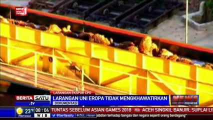 Kepala BKPM: Larangan Sawit oleh Uni Eropa Tidak Mengkhawatirkan