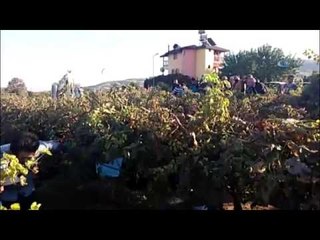 Minik Irmak’ın Cesedi Bulundu