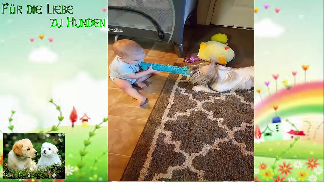 Baby spielen Schlepper-a-Krieg mit Welpen (So süß)