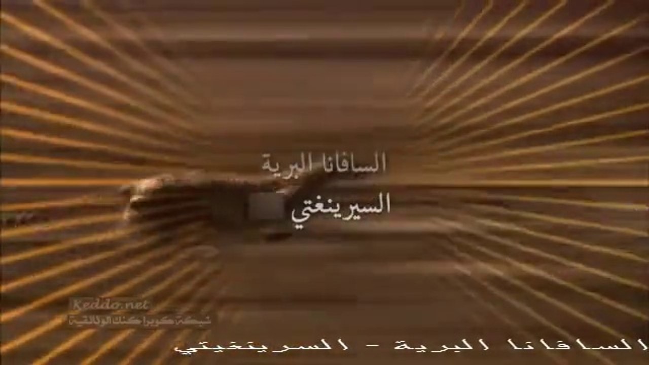 السافانا البرية