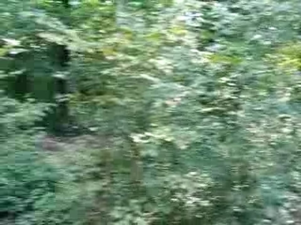 course de fou mini moto micky vs mini a roche