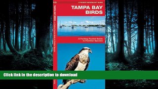 FAVORITE BOOK  Tampa Bay Birds: A Folding Pocket Guide to Familiar Species (Pocket Naturalist