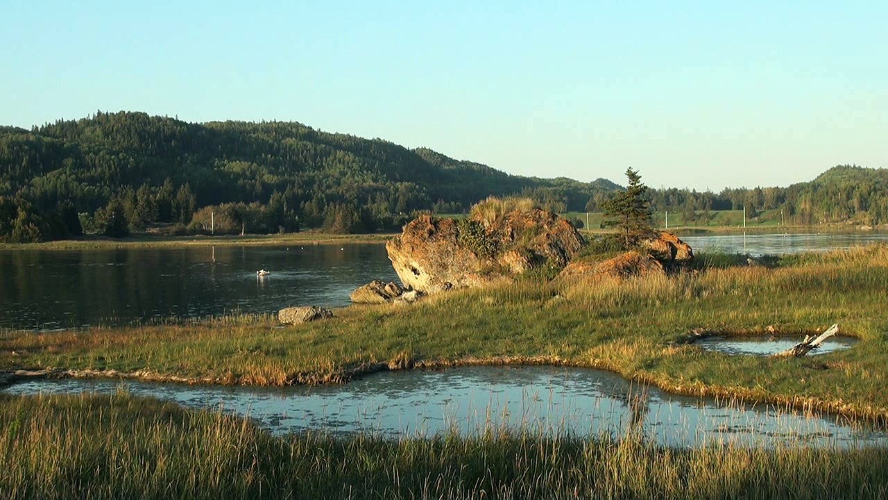 Cent mille chansons -   Frida Bocara