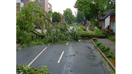 Water Damage Restoration Blackfoot - Important Tips For Recovering From Storm Damage