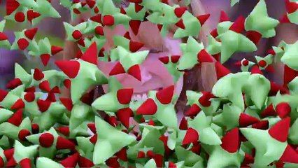 Movember Pranks - Best of Just For Laughs Gags