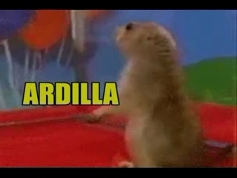 ARDILLA_DRAMATICA_KILL_BILL