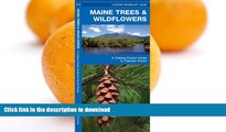 FAVORITE BOOK  Maine Trees   Wildflowers: A Folding Pocket Guide to Familiar Species (Pocket