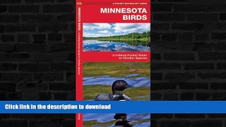 FAVORITE BOOK  Minnesota Birds: A Folding Pocket Guide to Familiar Species (Pocket Naturalist