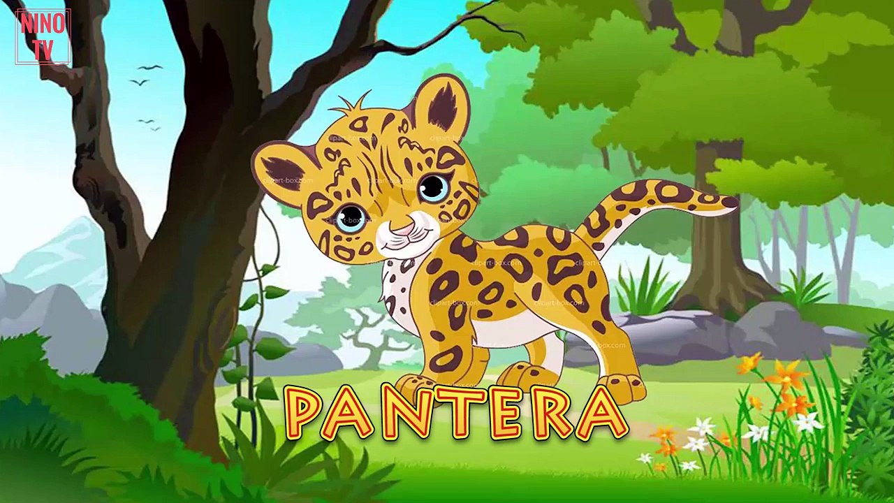 sonidos de animales para bebes en ingles | sonidos de animales para bebes en español | 4D #p6